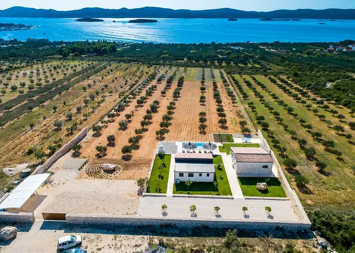 Estate Duo فيلة *